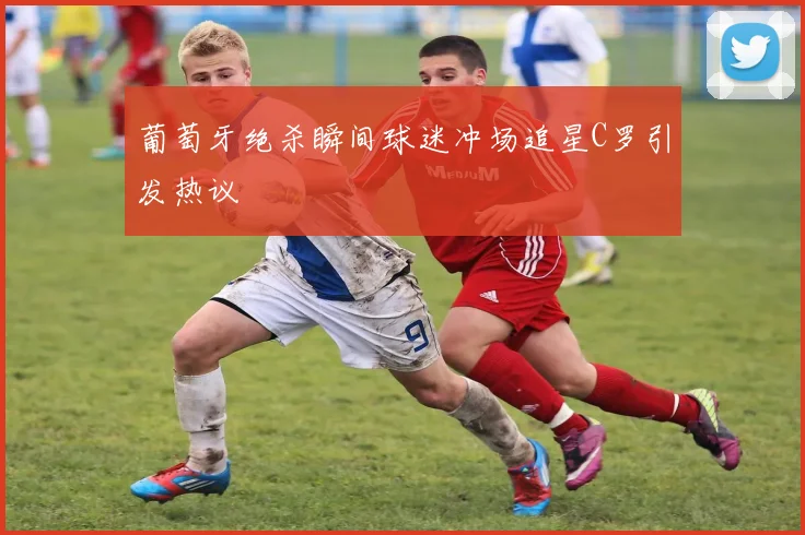 葡萄牙绝杀瞬间球迷冲场追星C罗引发热议